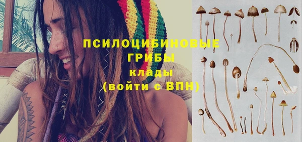 мяу мяу мука Нязепетровск