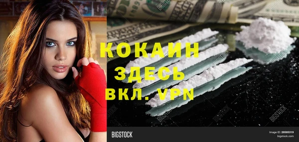 мяу мяу кристалл Няндома