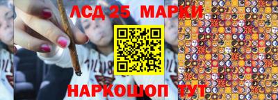 крисы Абакан