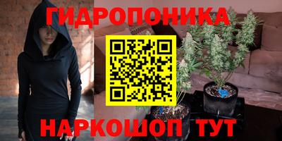 прущие крисы Аргун