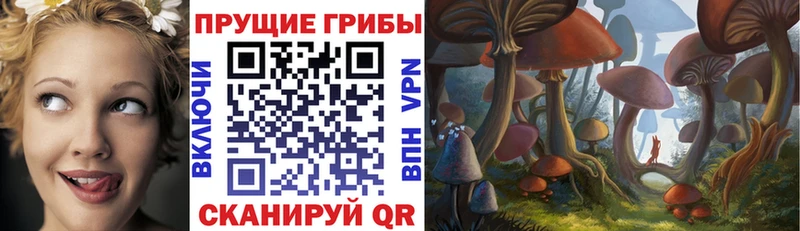 omg рабочий сайт  Переславль-Залесский  Галлюциногенные грибы Psilocybine cubensis 