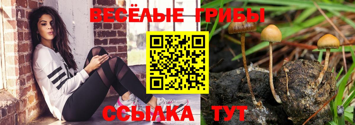 Псилоцибиновые грибы MAGIC MUSHROOMS Переславль-Залесский