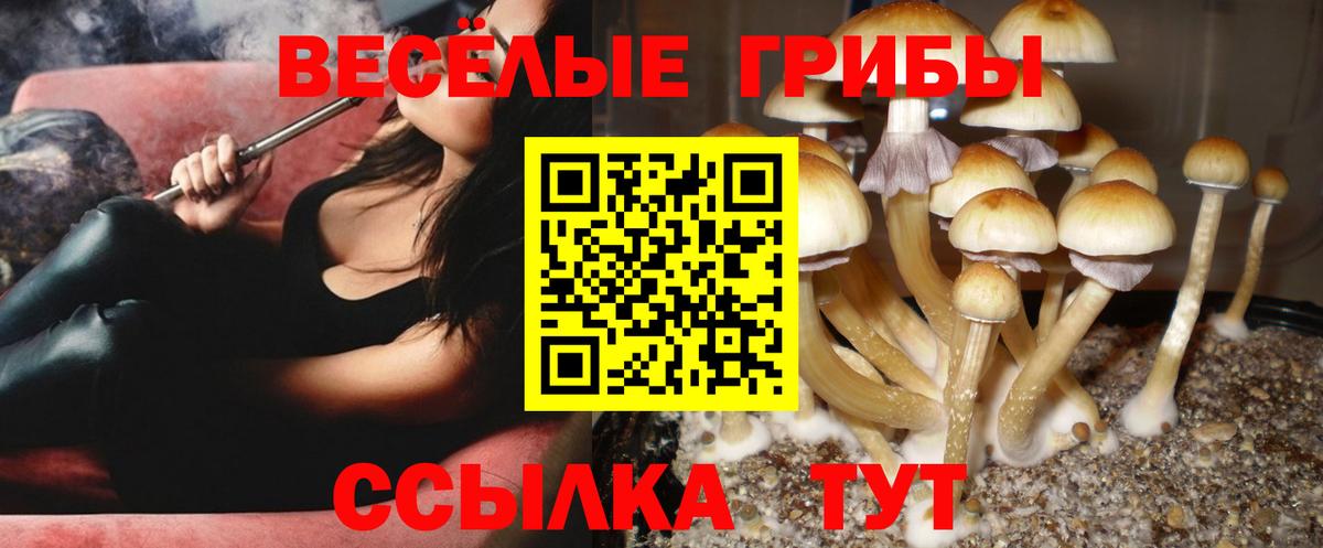 Переславль-Залесский  Галлюциногенные грибы ЛСД  Вход с VPN 